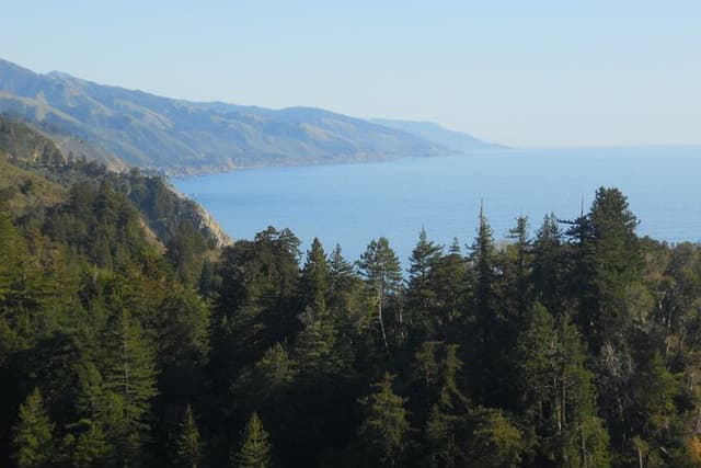 Big Sur Sightseeing Tour