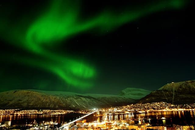  Tromsø: Classic arctic fjord cruise with lite lunch