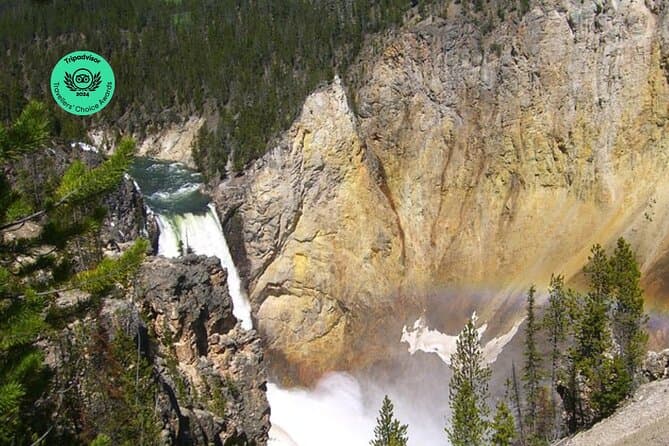 Best Yellowstone & Grand Teton Tours from Salt Lake City