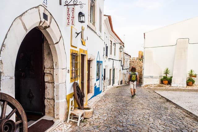 Private Full-Day Historical Tour of Medieval Évora