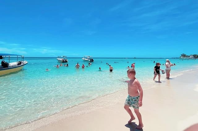 Roatan Monkeys & Sloths + Chocolate & Rum Tasting + Beach Break
