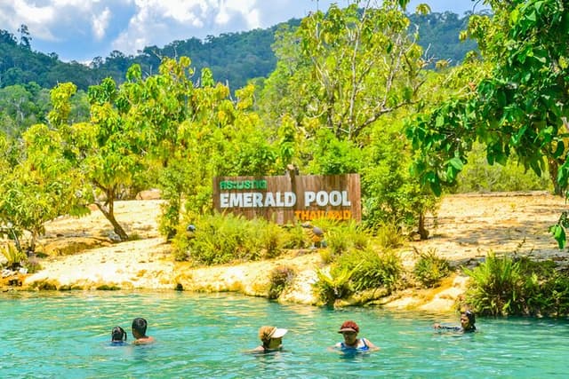 Krabi Jungle Escape Emerald Pool and Hot Springs Tour