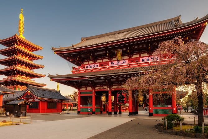 Premium Private Chauffeur Tours & Custom Tokyo Sightseeing