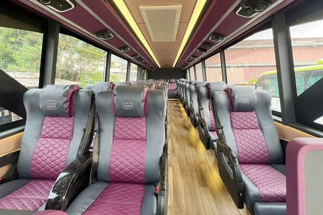 LUXURY VIP bus: Kuala Lumpur (KL) guided day tour from Singapore