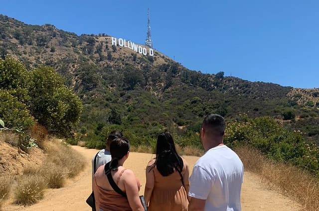 The Real 3 hour VIP Tour with Stops and Photos