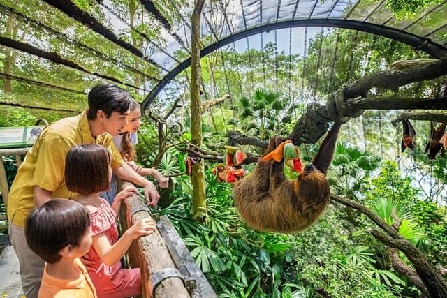 Singapore Zoo Entry Ticket
