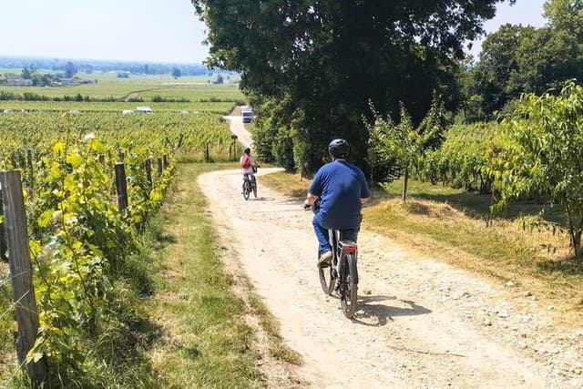 E-bike trip : From Bordeaux to Saint-Emilion with picnic lunch