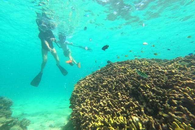 Private Snorkeling Experience in Yambaru (North Okinawa)