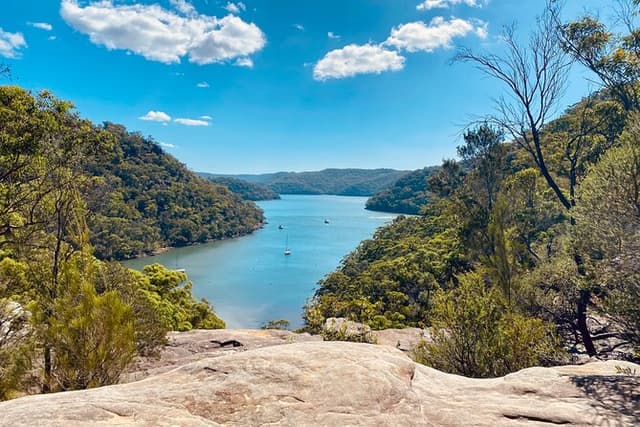 Sydney: Ku-ring-gai National Park Hike, Swim, Oysters & Picnic