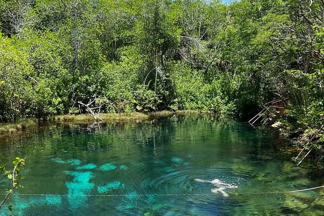 Private Cenote Tour: Dos Ojos, Jaguar & Nicte-Ha