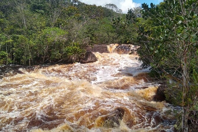 Best Presidente Figueiredo Waterfalls Tour from Manaus