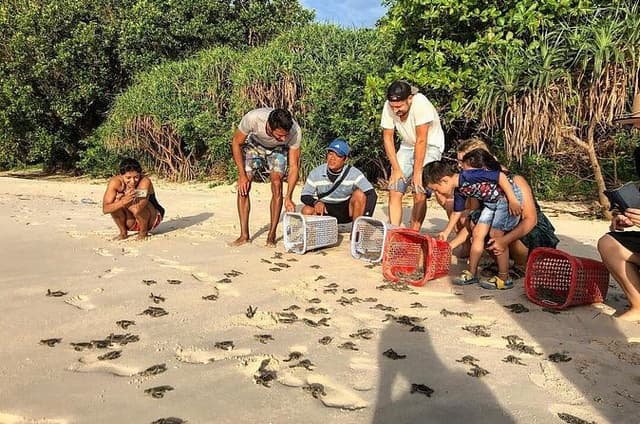 2 Day Hon Bay Canh Camping and Turtle Release Tour