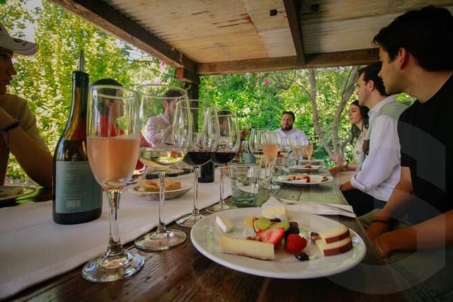 Private Vineyard and Wine Testing Tour From Guanajuato