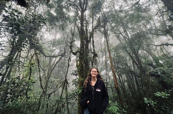 Best Cameron Highlands Full Day Tours from Tanah Rata