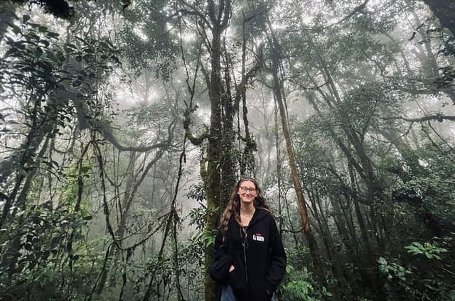 Cameron highlands Mossy Forest Halfday Tour (Shared Tour)