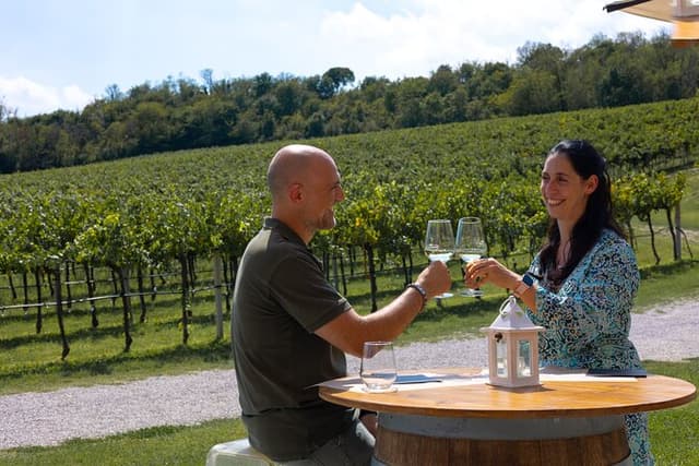 DA Padova: Wine tour in the Euganean Hills