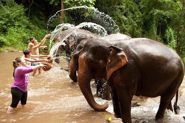 Wildlife Expedition: Elephant Sanctuary, Kbal Spean Banteay Srei