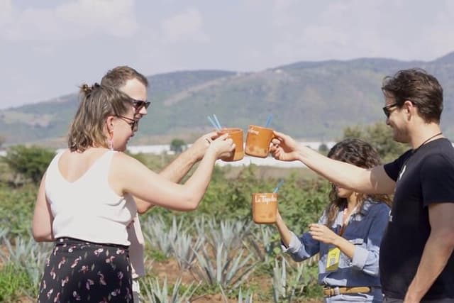 Visit "Cascahuin" distillery, additive free Tequila brand!