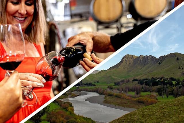 Wine & Sightseeing Cruise Tour 2.5hr | Award Winning Experience