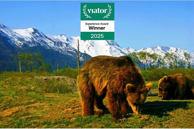 Glacier View & Wildlife Anchorage Adventure Tour