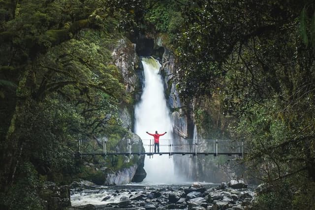 Milford Sound Nature Cruise and Self-Guided Scenic Track Walk