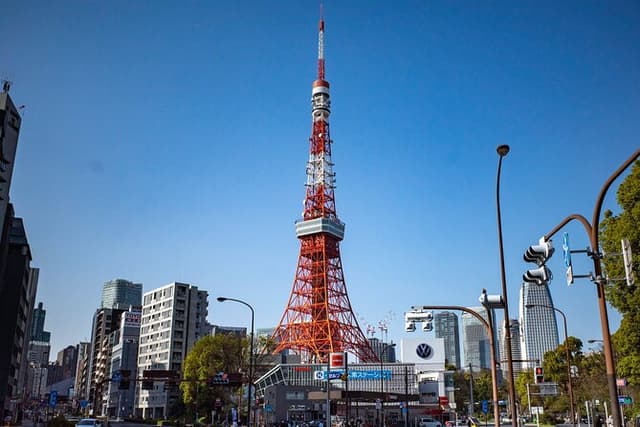 Tokyo City Walking Tour: Tokyo Tower Zojoji Temple and Shiba Park