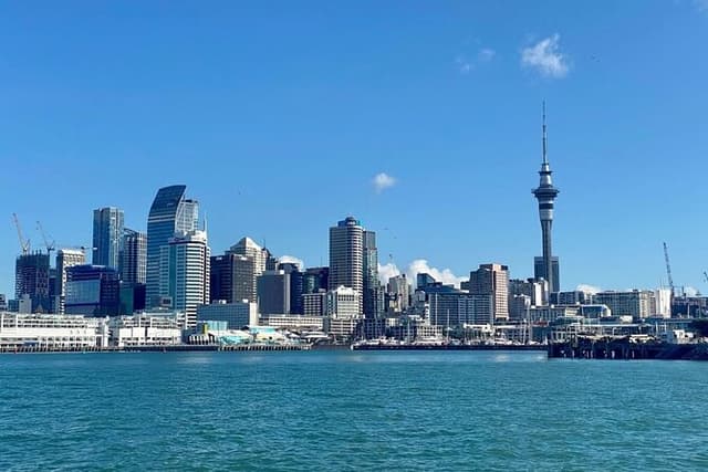Scenic Harbour Cruise in Auckland