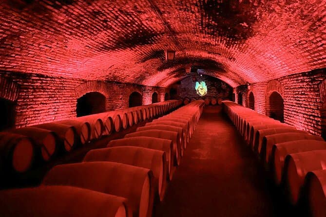 Best Concha y Toro Wine Tasting & Vineyard Tours