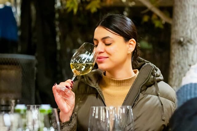 Viña Concha y Toro: Premium Wine Center Tour