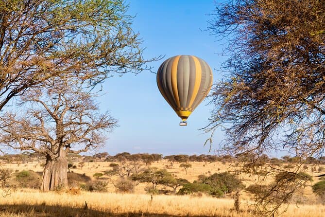 Unforgettable Maasai Mara Hot Air Balloon Safaris in Narok
