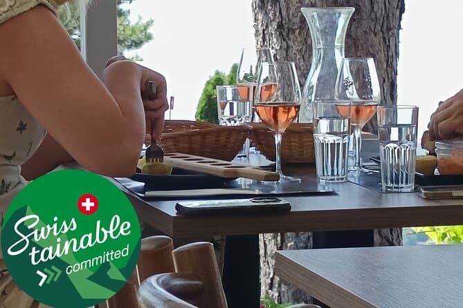 Lavaux Vineyard Tours & Wine Tasting Near Geneva