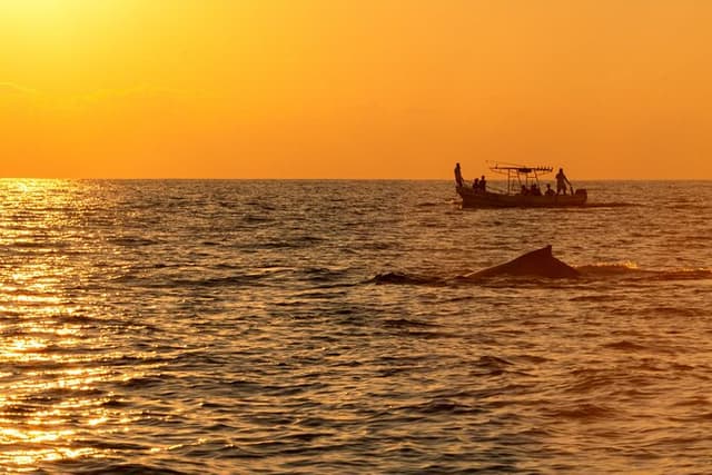 Private Tour of the Beaches of Puerto Escondido in Lancha