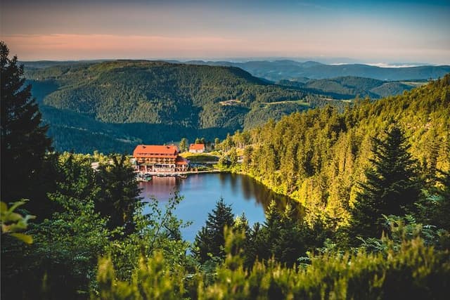 Experience Baden-Baden and the Black Forest from Frankfurt