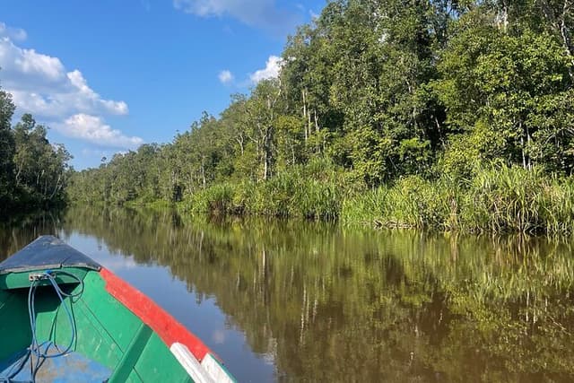 Ethical Orangutan River Cruise around Tanjung Puting 1D0N