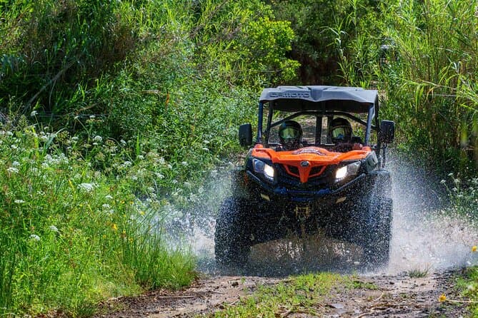 Top-Rated 4x4 Tours in Faro