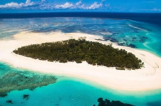 Mnemba Island Live Aquarium Half-Day Trip & Transfer - Zanzibar