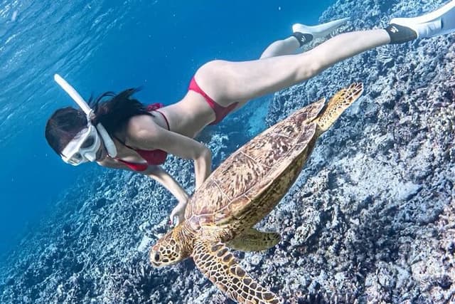 Bali Snorkeling at Blue Lagoon with Waterfall, Lunch & Transport