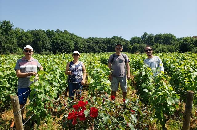 Private tour in Burgundy with your professional guide!