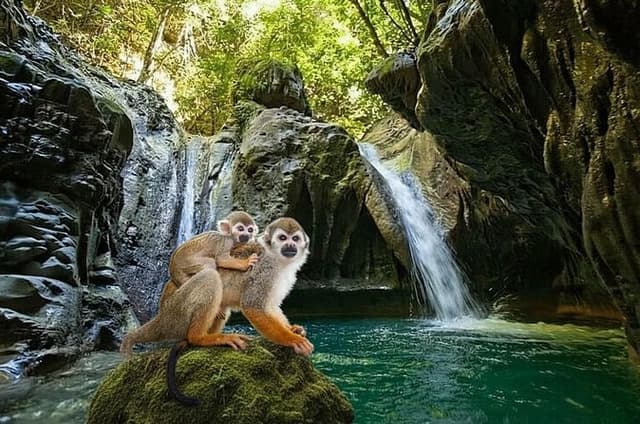 Combo : Damajagua and Monkeys & plantation tours in Puerto Plata