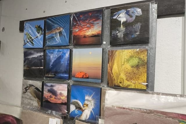 Guided tour of the art galleries of the Historic Center