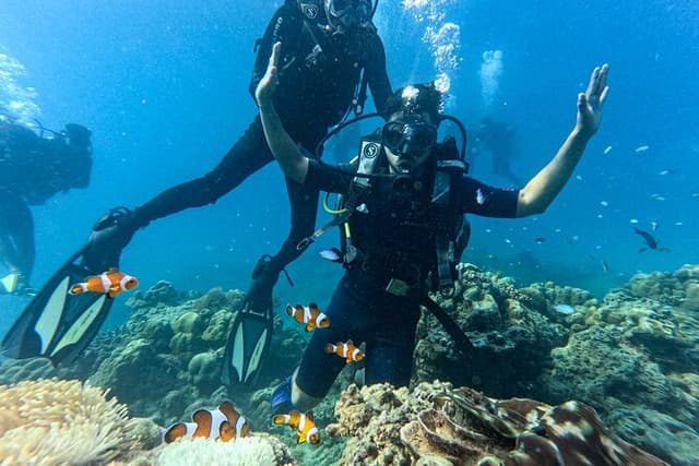 Scuba Diving in Tribe Gate