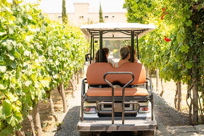 Exquisite Mt. Vesuvius Wine Tasting & Pompeii Tours