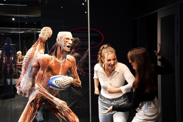 Body Worlds Amsterdam Admission Ticket