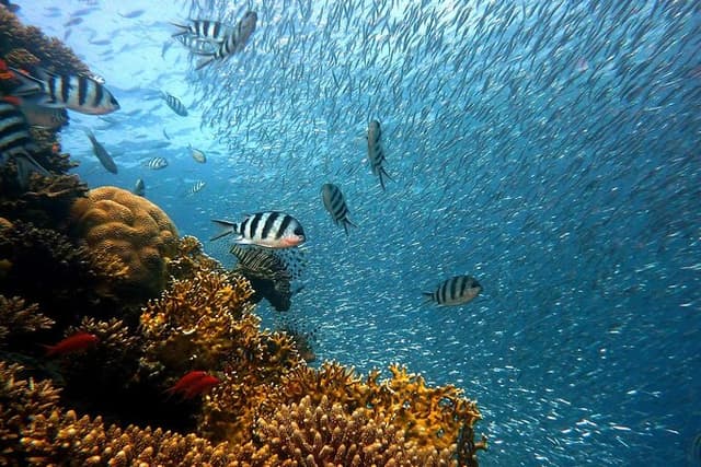 Sharm El Sheikh Jeep Safari to Blue Hole & Dahab Canyon Adventure