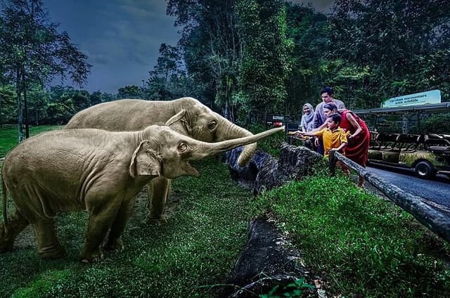 Night Safari Singapore Skip the Line Tickets with Tram Ride