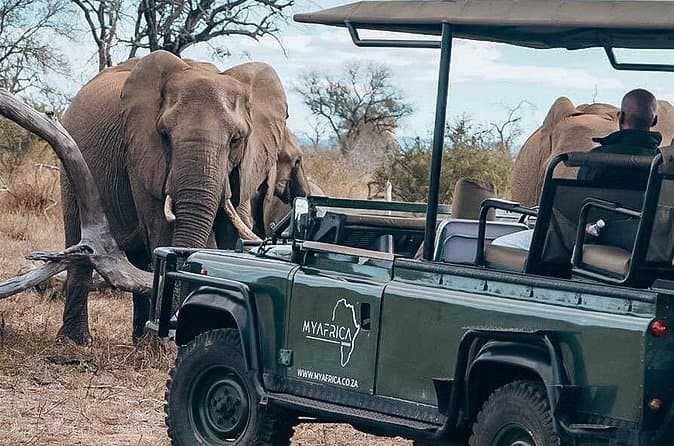Compare Top Big Five Safaris in Hazyview