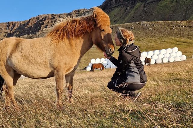 Private Farm Visit & Silver Circle Day Tour in West Iceland
