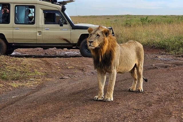 Nairobi National Park, Giraffe Center & Sheldrick Half Day Tour