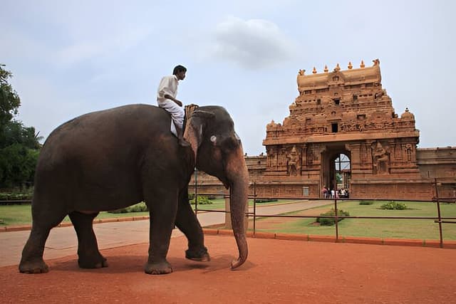 Madurai to Thanjavur - Trichy & Gangaikonda Cholapuram Day Trip