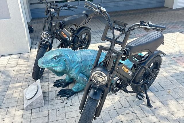 Coastal E-Bike Adventure: Full-Day Self-Guided Tour Grand Cayman